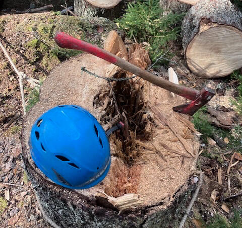Mountain Wren - Tree and Garden Specialists logo